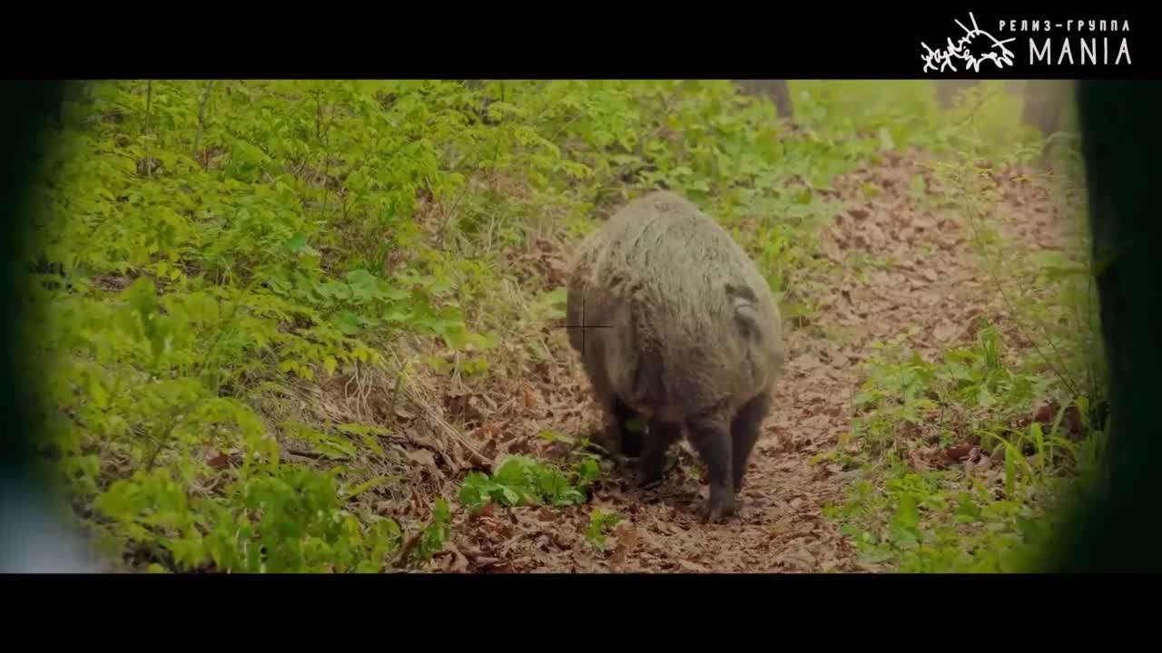 Кадр 1 серии