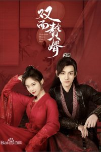 Боевая жена Боевая жена